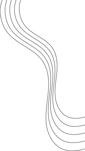 Line-Image
