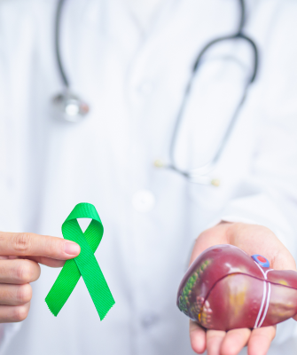 Doctor holding an organ model and awareness ribbon supporting organ donation