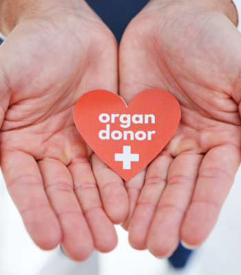 Hands holding an organ donor symbol, encouraging people to pledge their organs